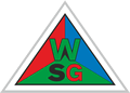 World Strong Guard Logo